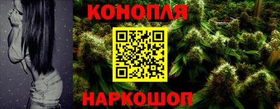 твердый Будённовск