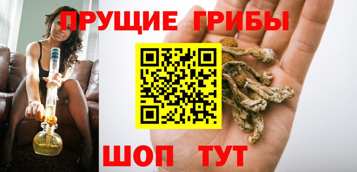 Псилоцибиновые грибы Cubensis  Вход с VPN  Котельники 